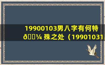 19900103男八字有何特 🐼 殊之处（19901031出生男孩是什么命）